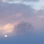 20160117_082918