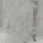 20160302_113916