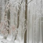 20160302_114043