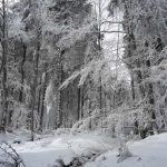 20160314_115105