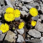 20160402_113229
