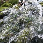 20160409_141448