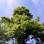 20160522_112025