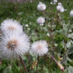 20160526_114020