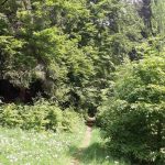 20160529_151421