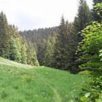 20160529_152237