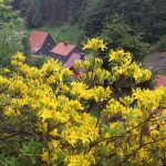 20160529_160405