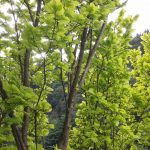 20160529_160536