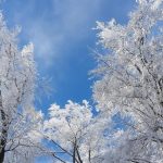 20170118_134920