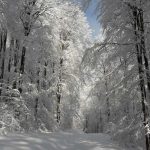 20170118_135603
