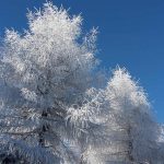 20170126_114042