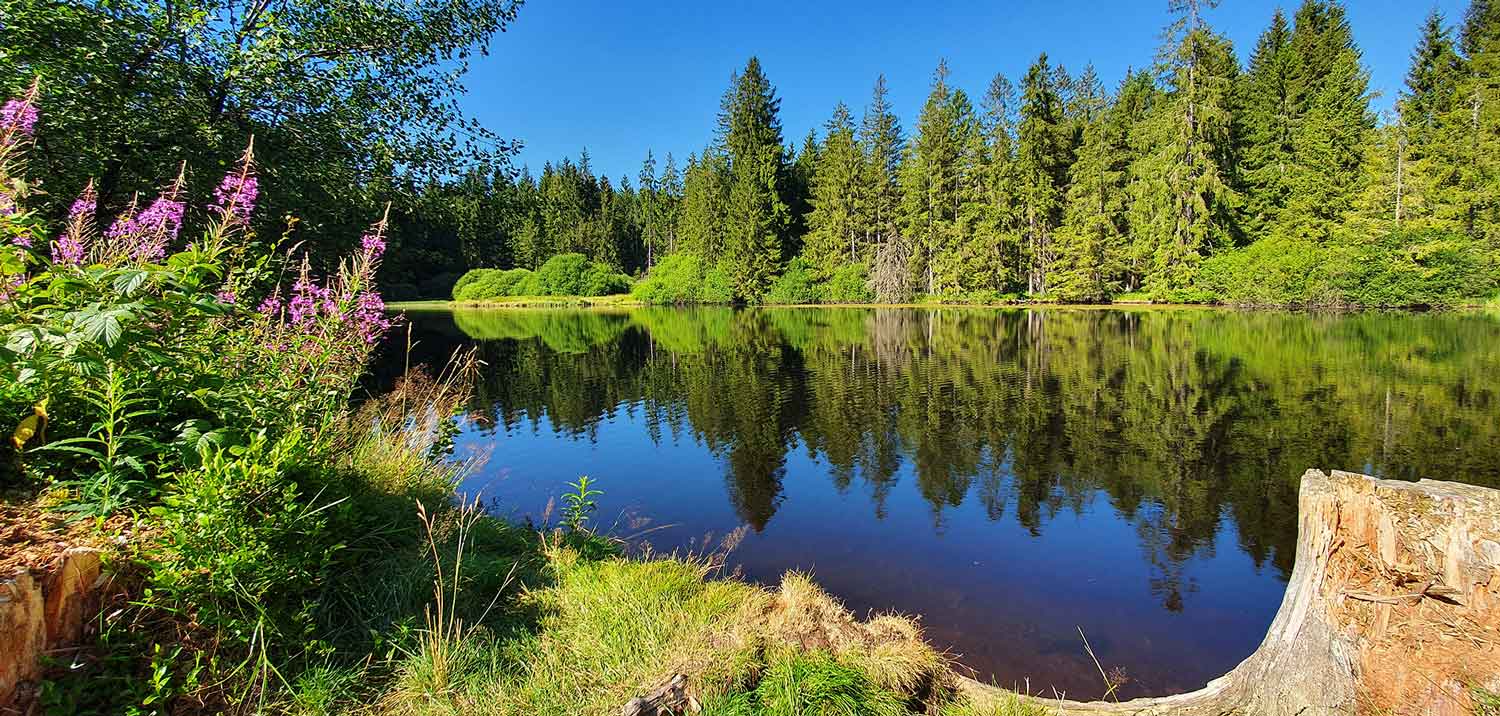 Blechschmidt-Online-Kurs Blechschmidt-Online-Kurs