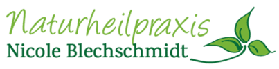 Logo_N_Blechschmidt